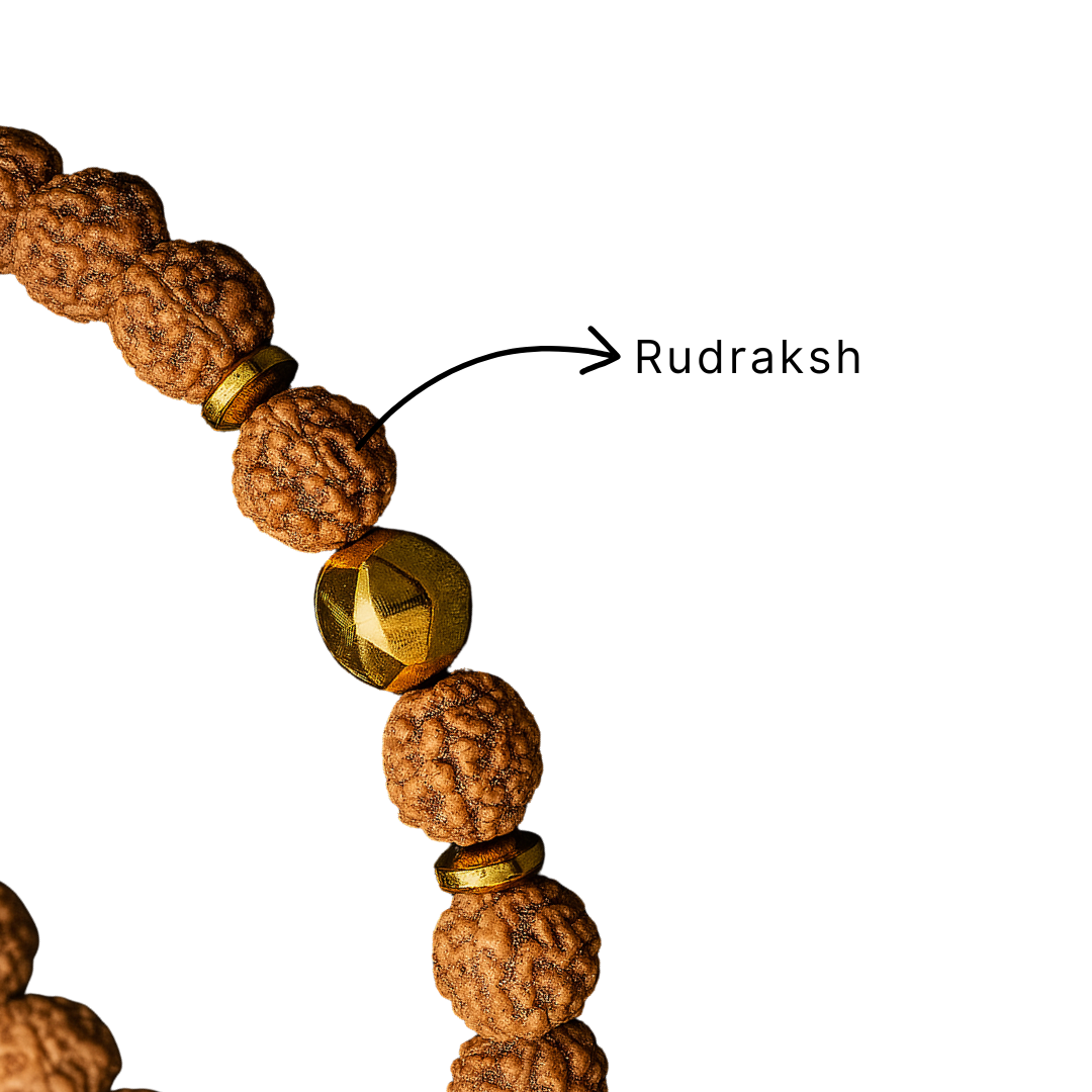 Rudrakshan Bracelet